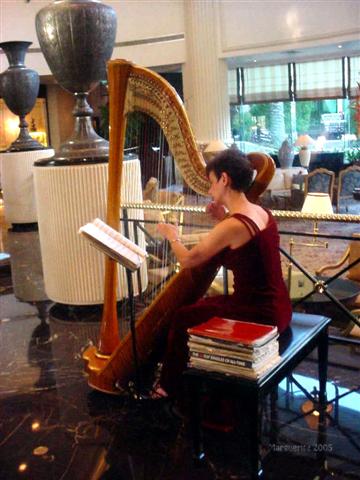 harpist.jpg