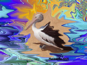 pelicanwild.jpg